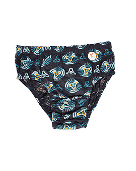 3StarPremiumIE panties